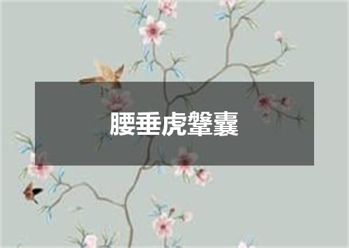 腰垂虎鞶囊
