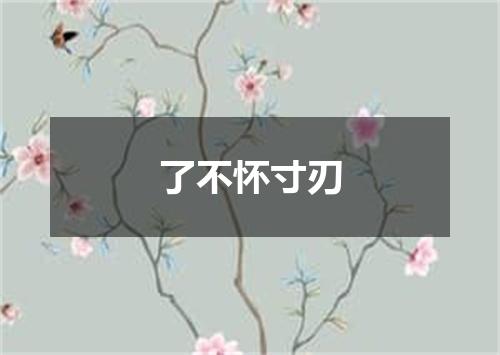 了不怀寸刃