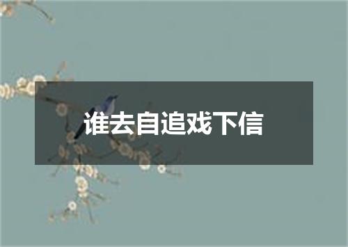 谁去自追戏下信