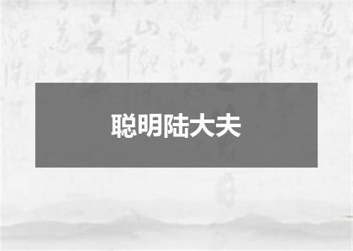 聪明陆大夫