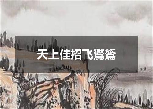 天上佳招飞鸑鷟
