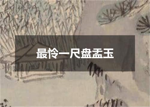最怜一尺盘盂玉