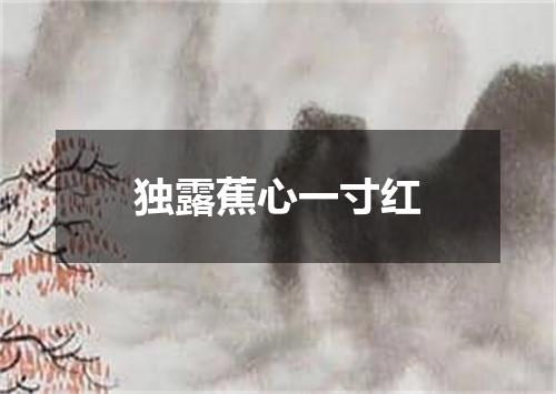 独露蕉心一寸红