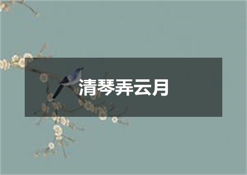清琴弄云月