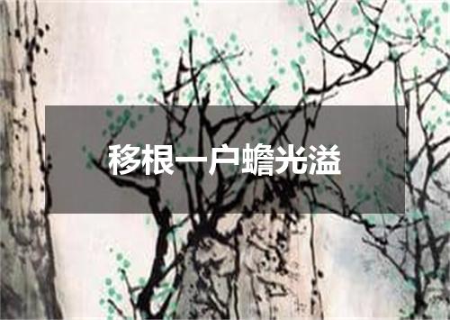 移根一户蟾光溢