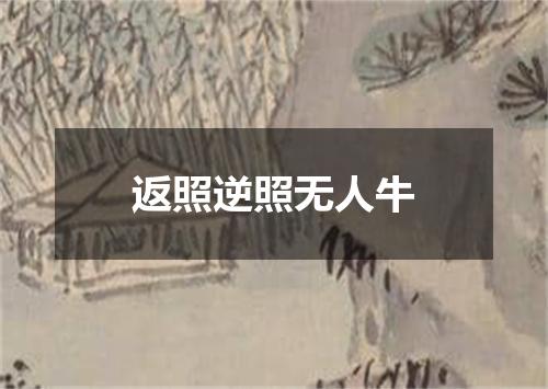 返照逆照无人牛