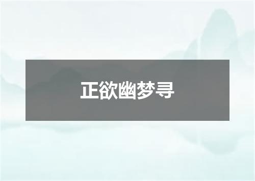正欲幽梦寻