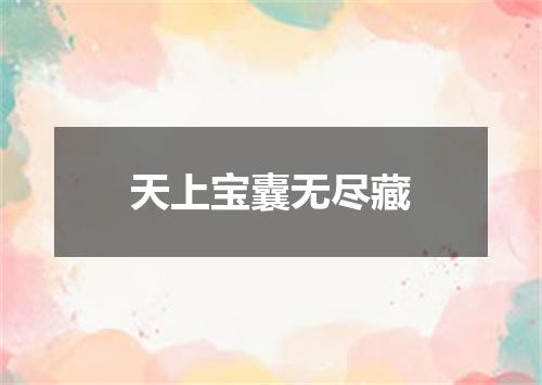 天上宝囊无尽藏