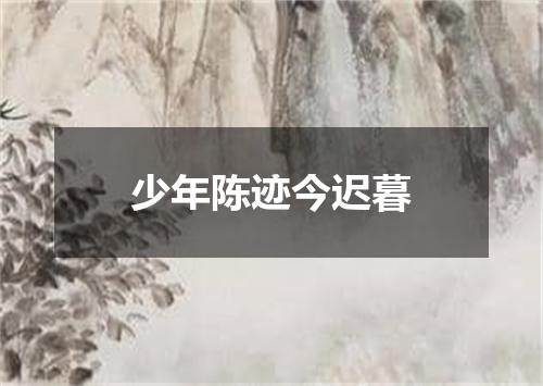 少年陈迹今迟暮