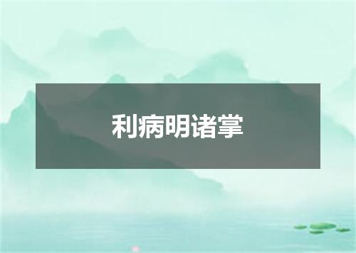 利病明诸掌