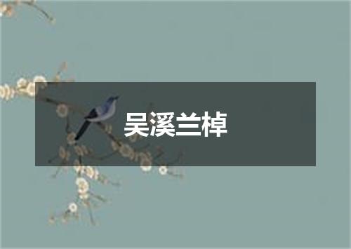 吴溪兰棹
