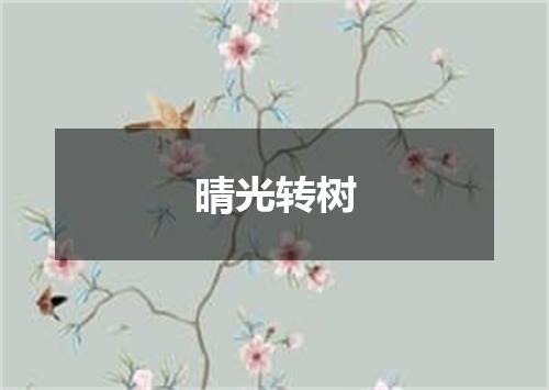 晴光转树
