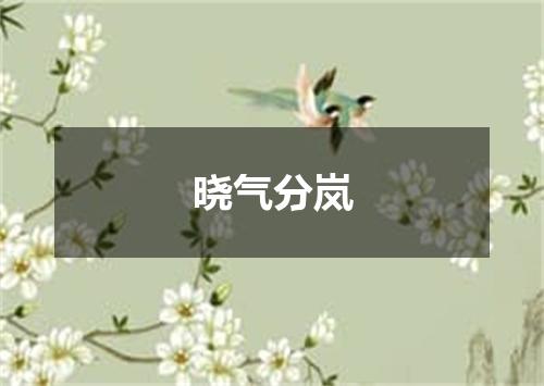 晓气分岚
