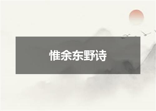 惟余东野诗