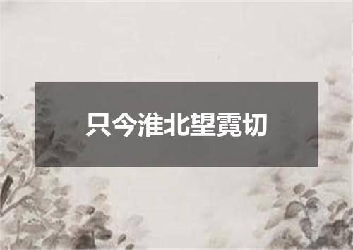 只今淮北望霓切