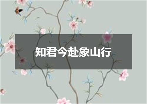 知君今赴象山行