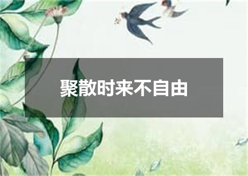 聚散时来不自由