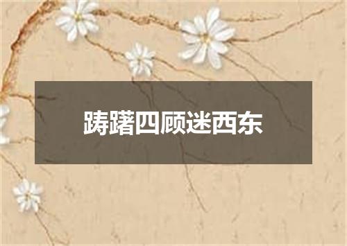 踌躇四顾迷西东