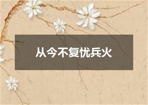 从今不复忧兵火