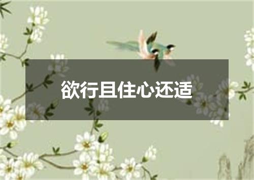 欲行且住心还适