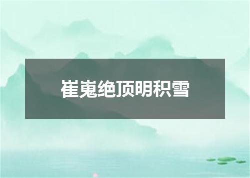 崔嵬绝顶明积雪