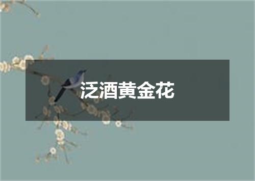 泛酒黄金花