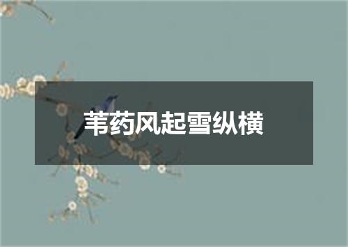 苇药风起雪纵横