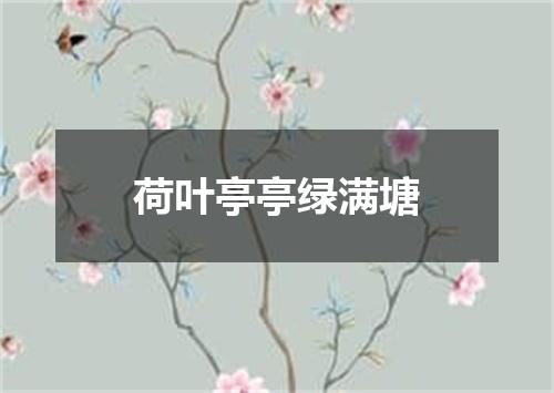 荷叶亭亭绿满塘