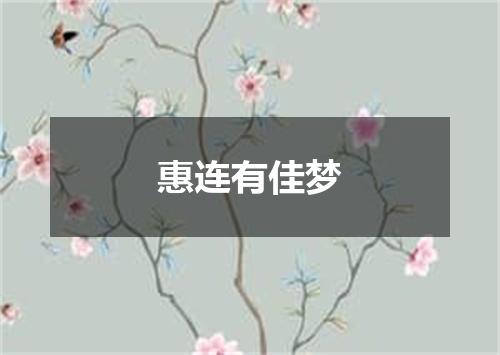 惠连有佳梦