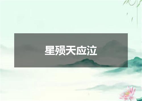 星殒天应泣