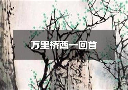 万里桥西一回首