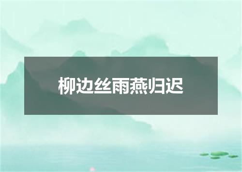 柳边丝雨燕归迟