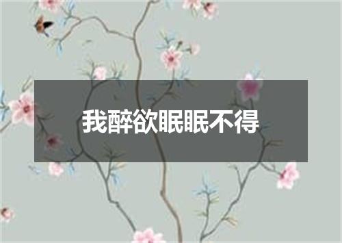 我醉欲眠眠不得