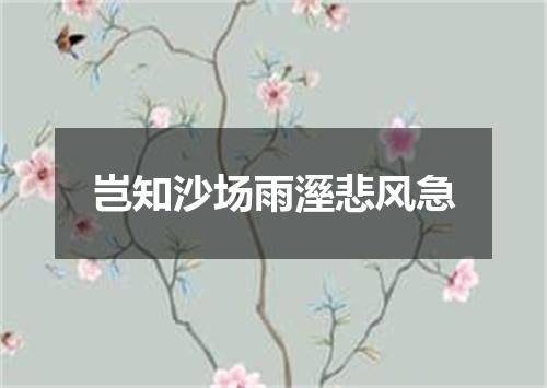 岂知沙场雨溼悲风急
