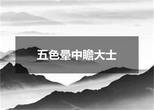 五色晕中瞻大士