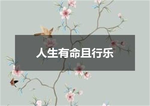 人生有命且行乐