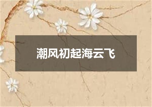 潮风初起海云飞