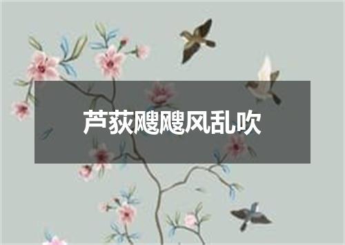 芦荻飕飕风乱吹