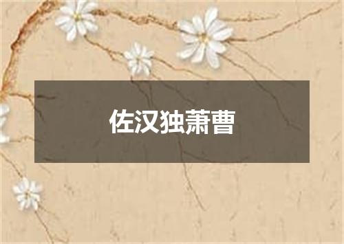 佐汉独萧曹