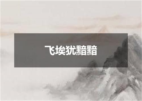 飞埃犹黯黯