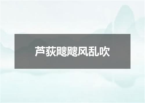 芦荻飕飕风乱吹