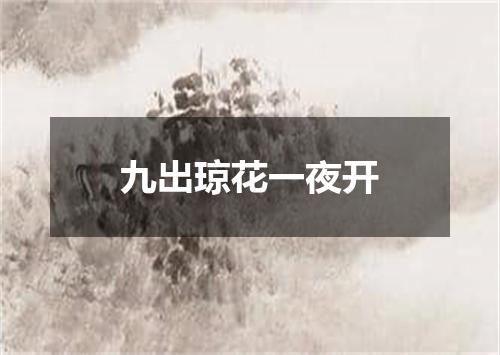 九出琼花一夜开