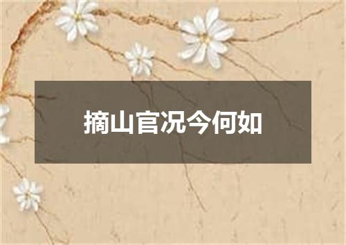 摘山官况今何如