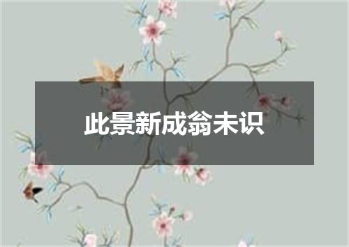 此景新成翁未识