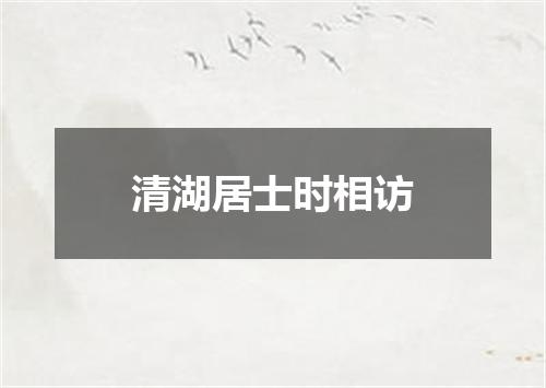 清湖居士时相访