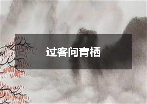 过客问青栖