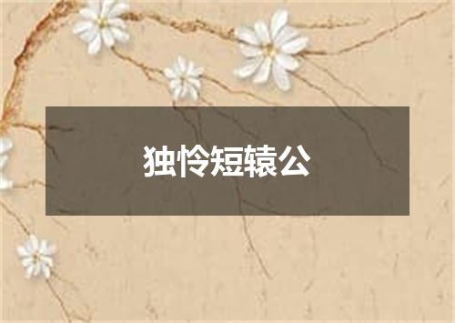 独怜短辕公