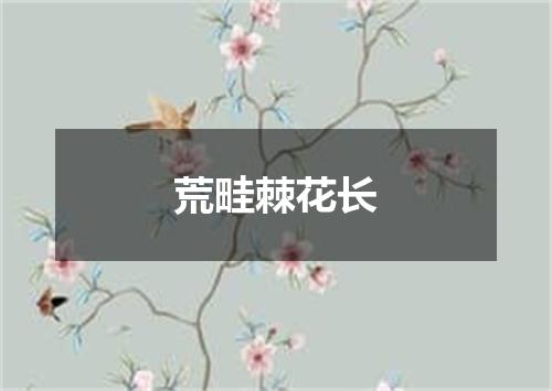 荒畦棘花长