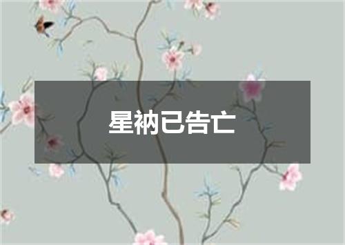 星衲已告亡