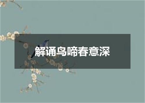 解诵鸟啼春意深